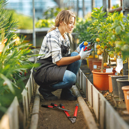 Outsunny heggenschaarset, 3-delig, tuinschaar, takkenschaar met stalen messen, handvat